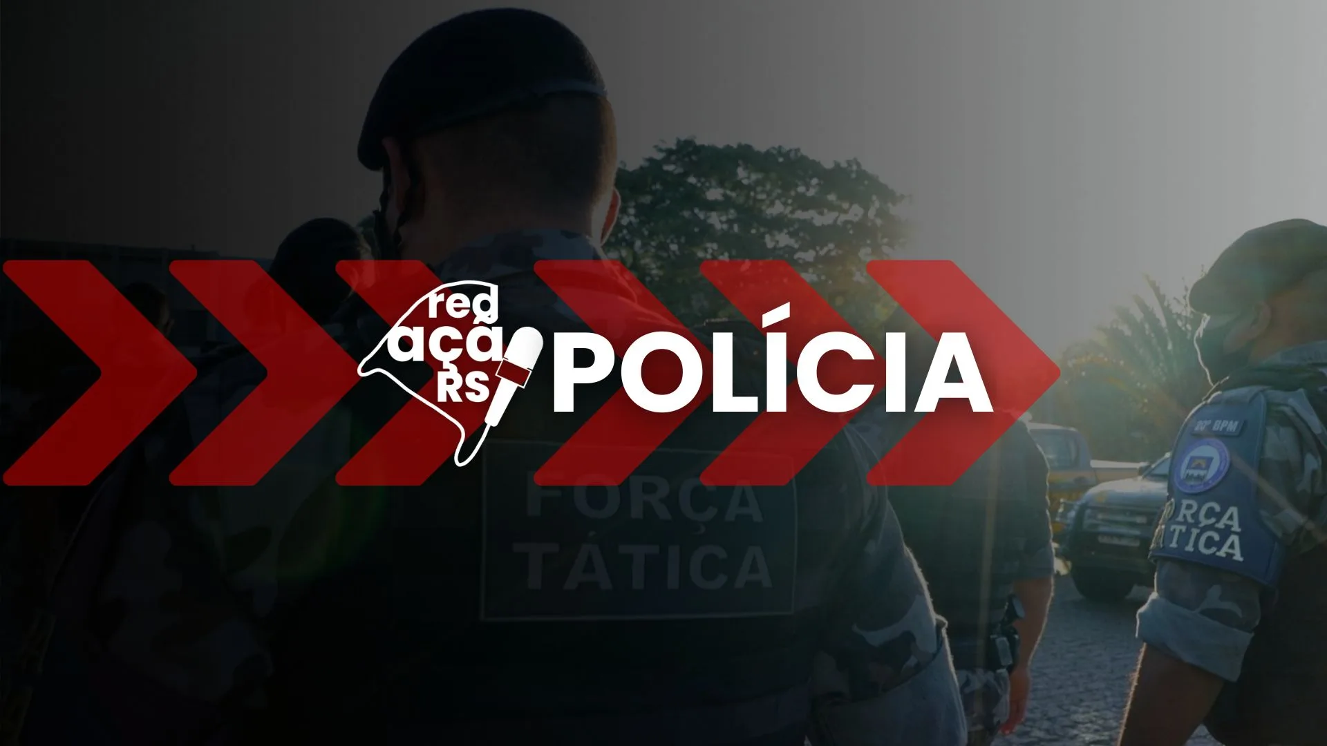 POLICIA 1