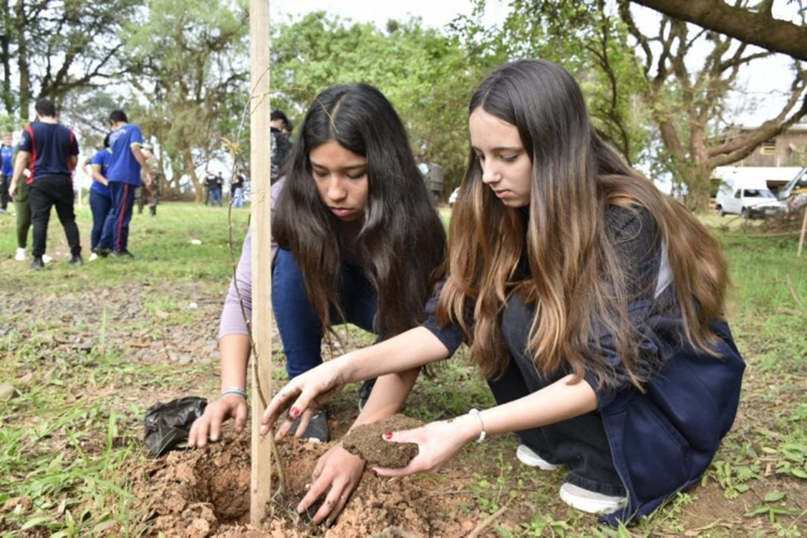 Vale do Taquari recebe o plantio de centenas de mudas 5 Vale do Taquari recebe o plantio de centenas de mudas