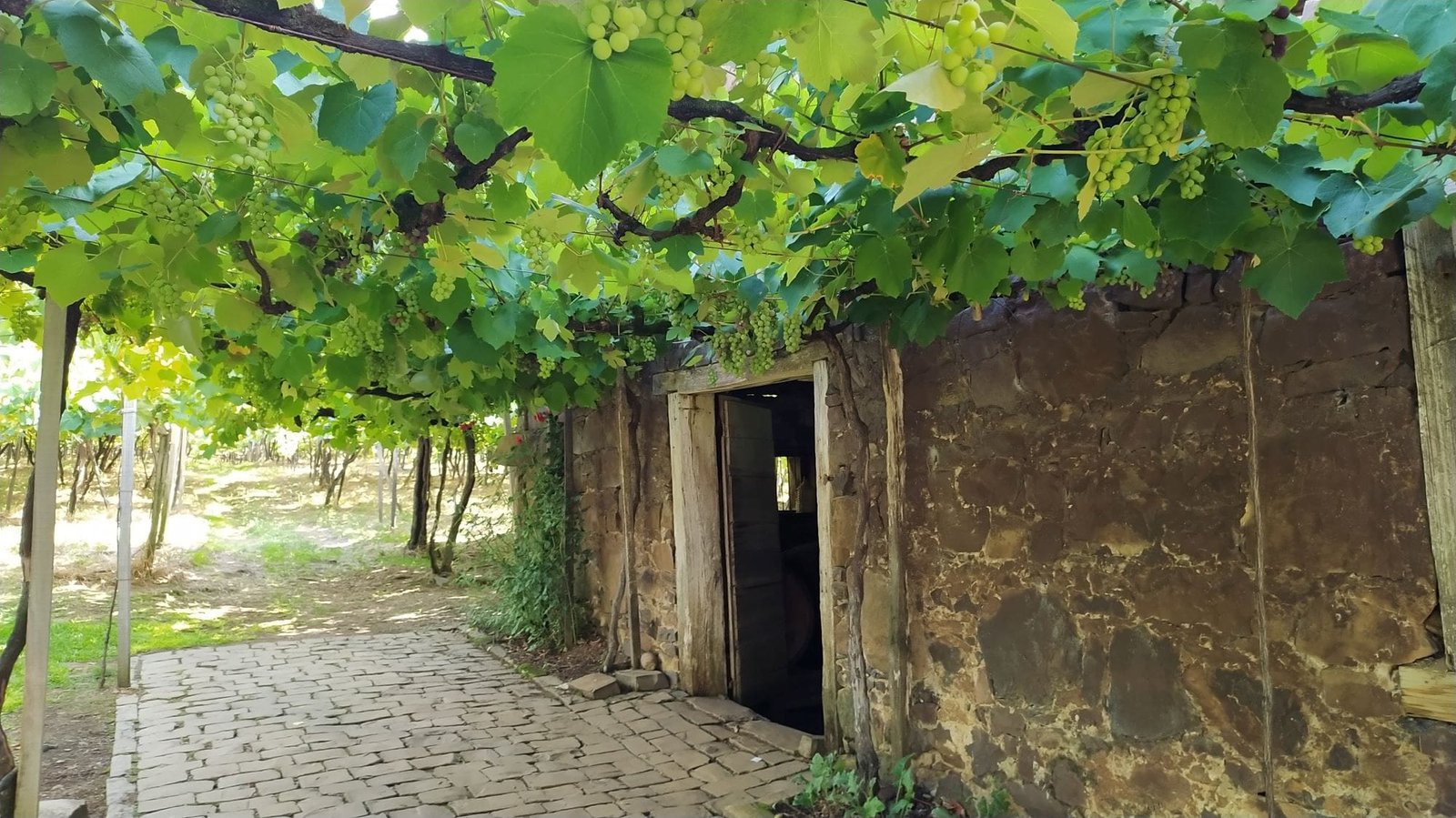 Turismo Rural no RS: as experiências mais procuradas do setor