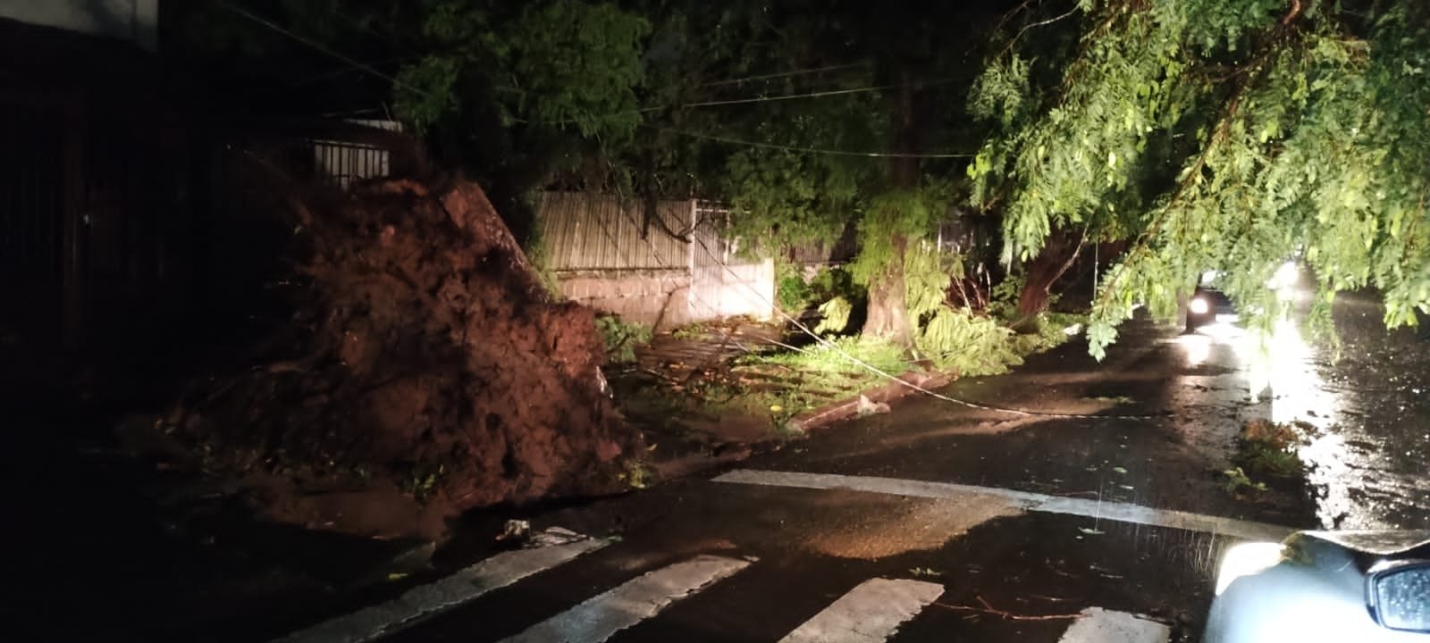 Temporal causa danos em cerca de 35 cidades do RS