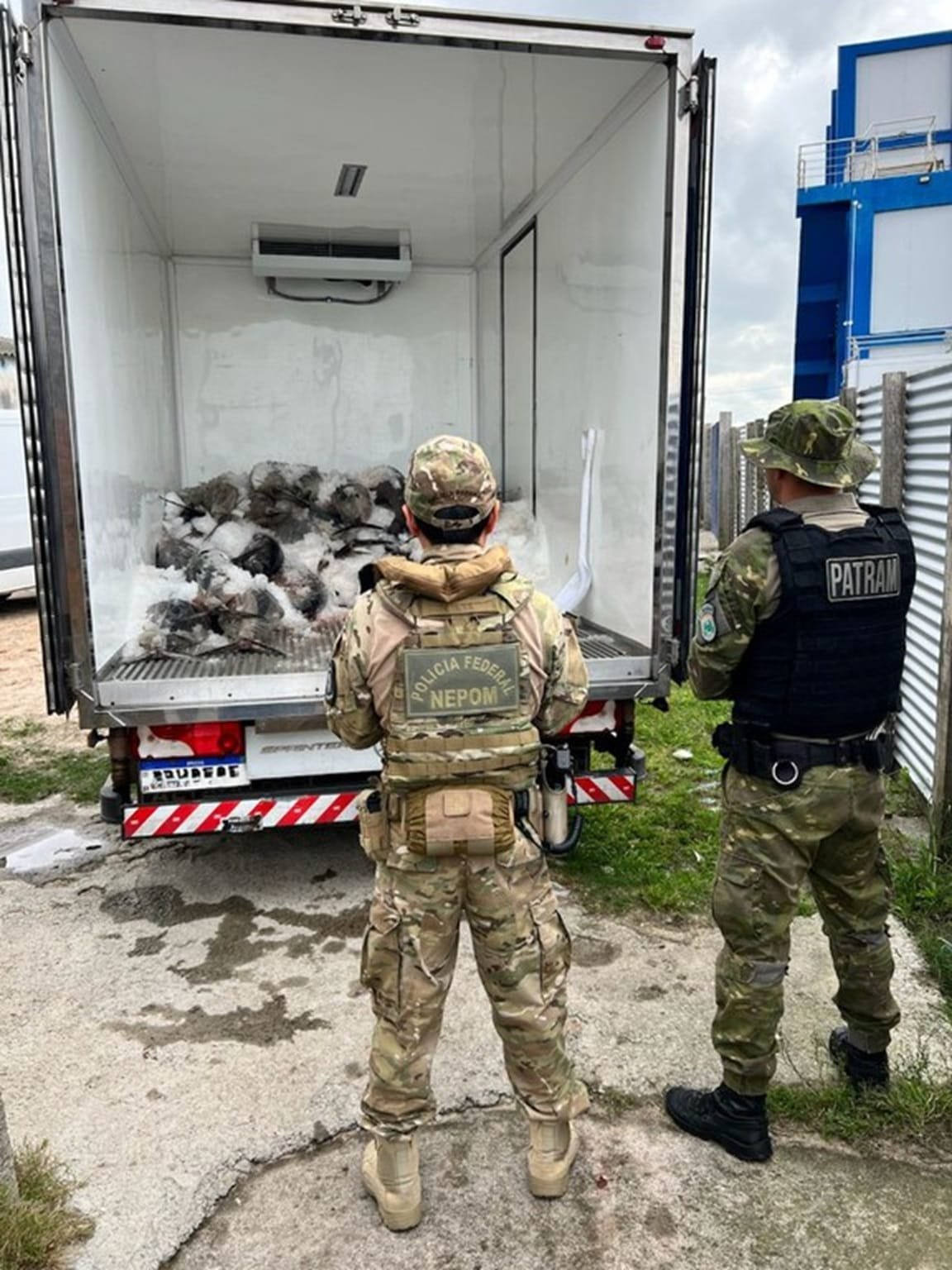 Operação apreende mais de 4 mil toneladas de pescado na Região Sul do RS