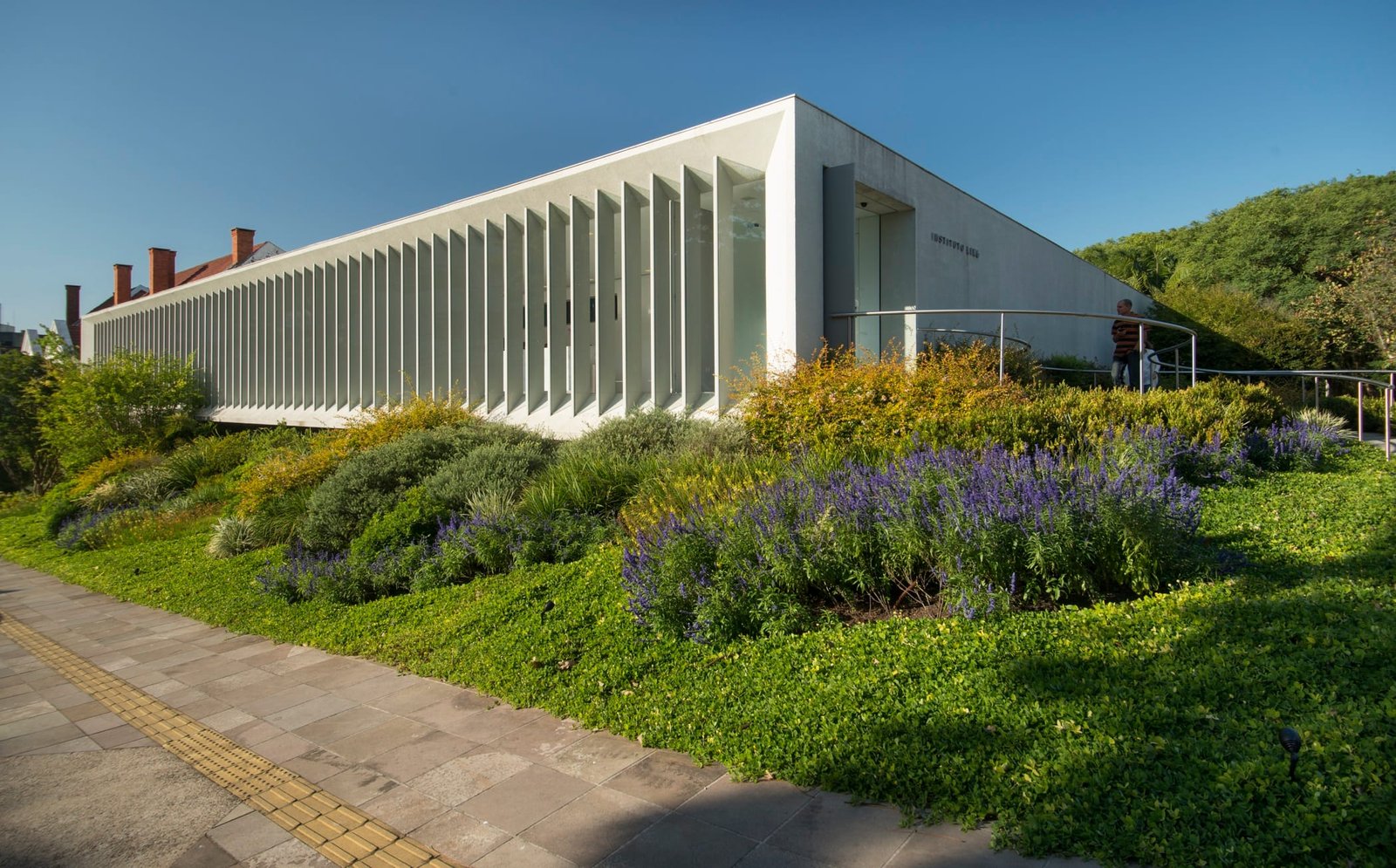 Instituto Ling abre inscrições para bolsas de estudos no exterior