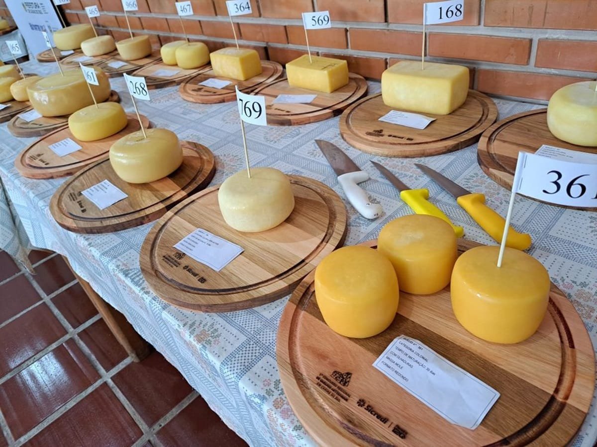 Caxias do Sul recebe o 2º Concurso Regional de Queijos Artesanais