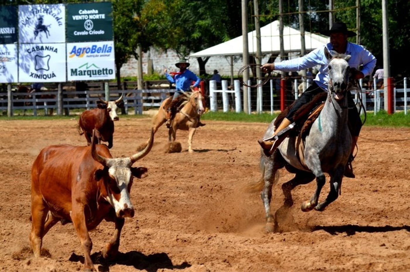 Santa Maria recebe o 30º Rodeio Internacional do Conesul
