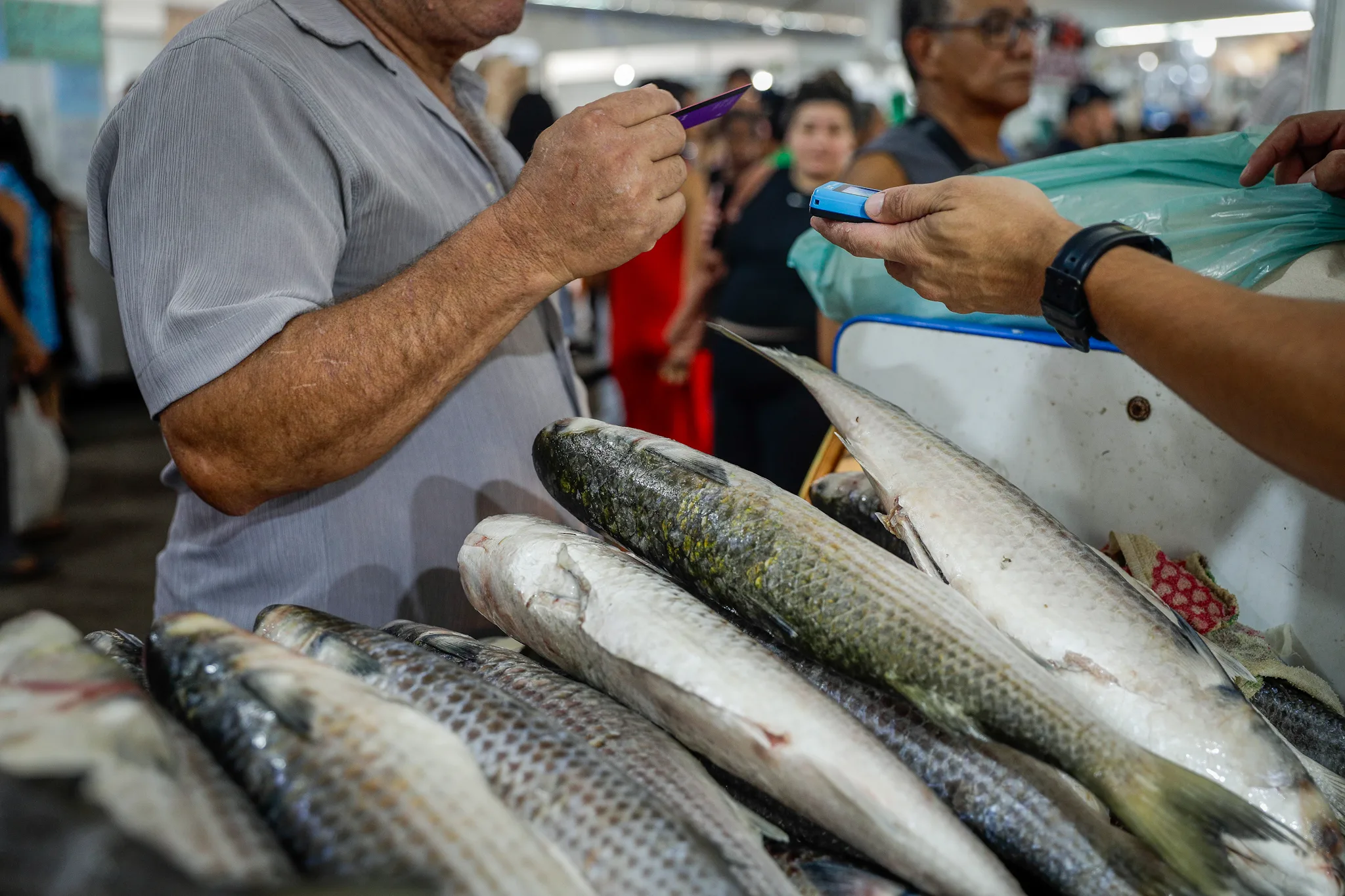 Feira do Peixe de Porto Alegre tem 51 bancas; Veja o horário de funcionamento 