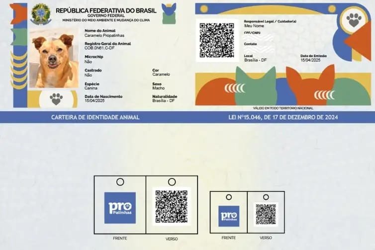 Saiba como funciona o SinPatinhas, novo RG Animal para cães e gatos 2 documento animais caes