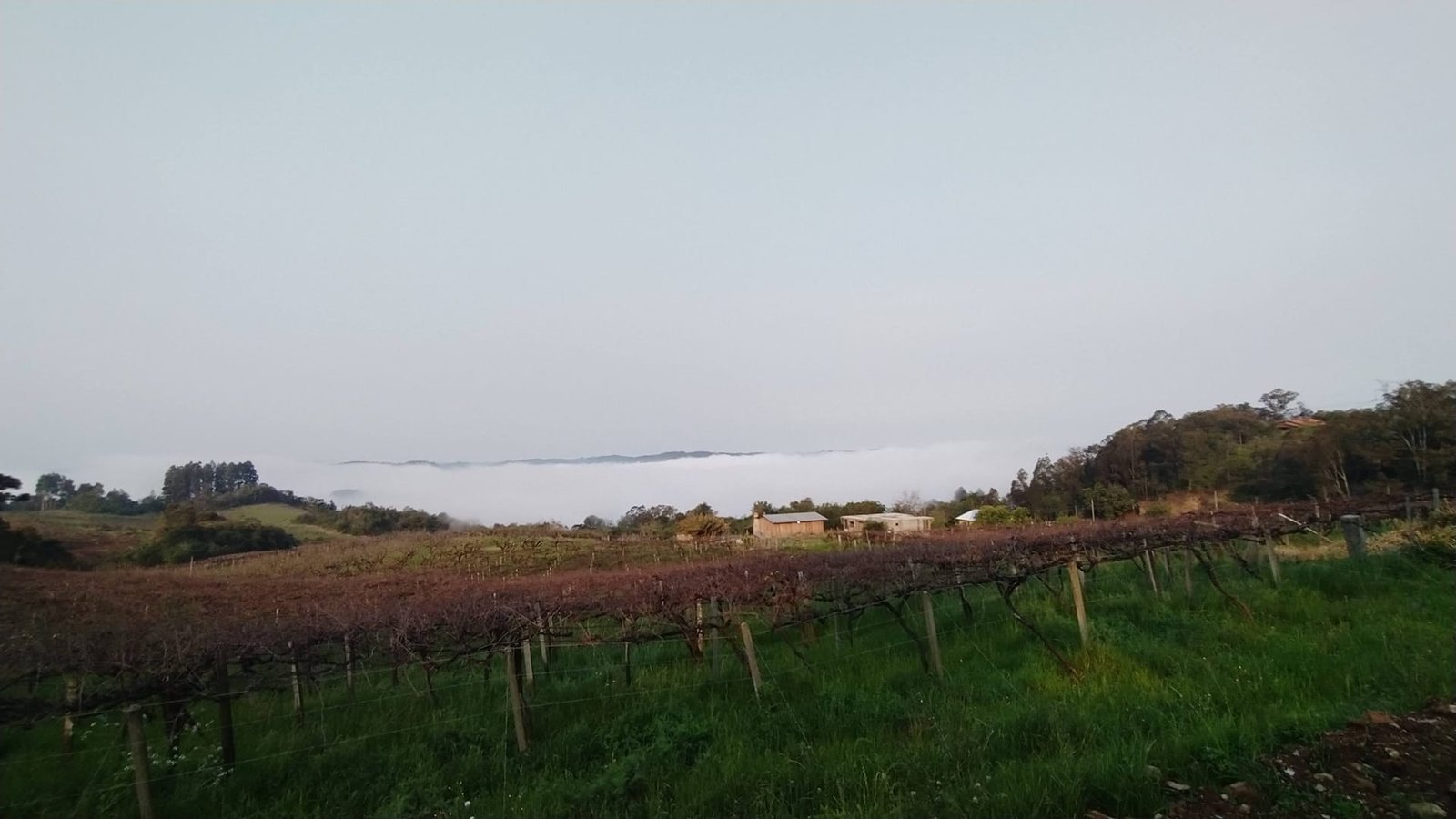 Previsão aponta temperatura amena e nevoeiro no RS nesta quarta 7 Previsão aponta temperatura amena e nevoeiro no RS nesta quarta