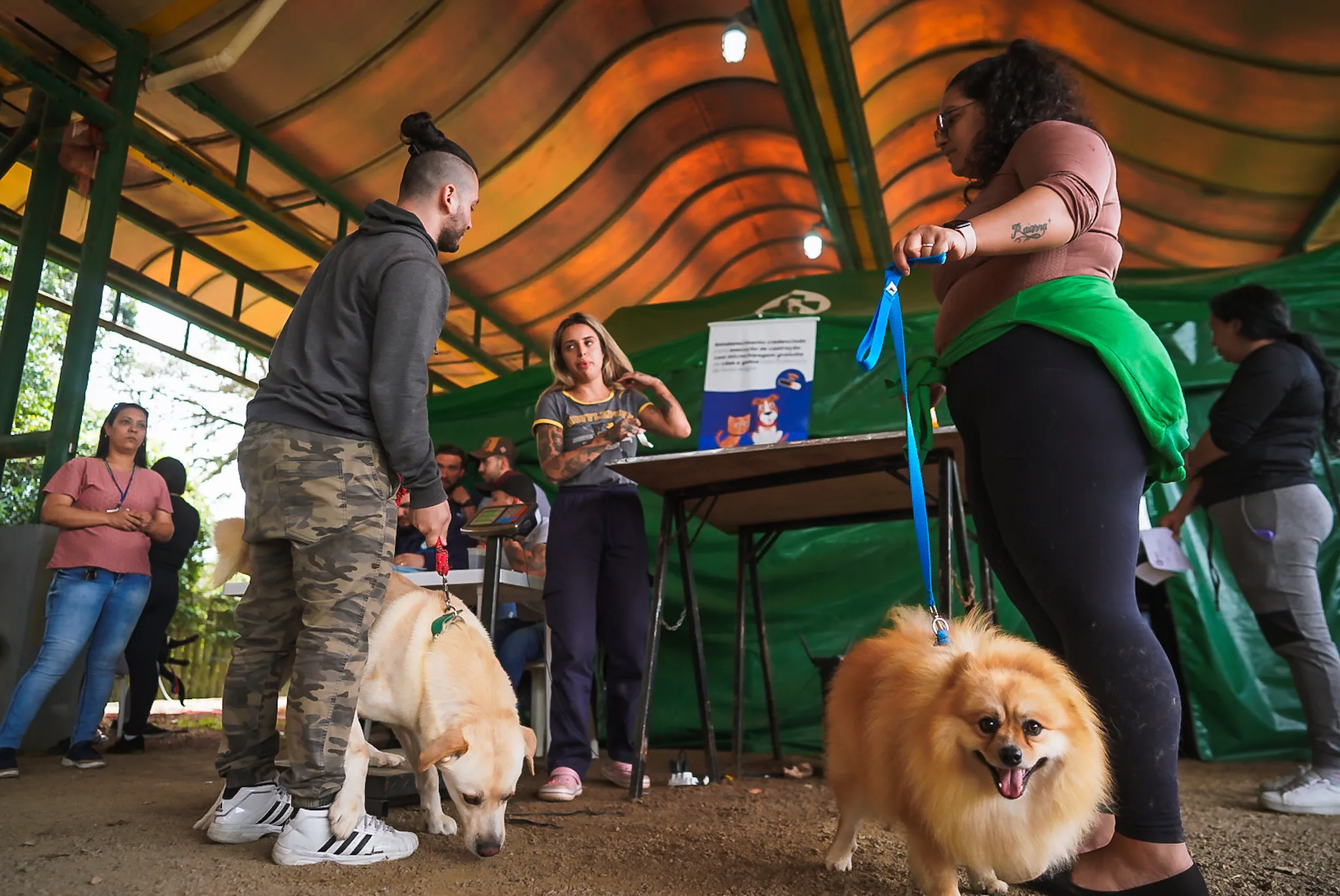 Prefeitura de Porto Alegre abre cadastro para castração de cães e gatos 1 20230902 Cesar Lopes Castracao 10