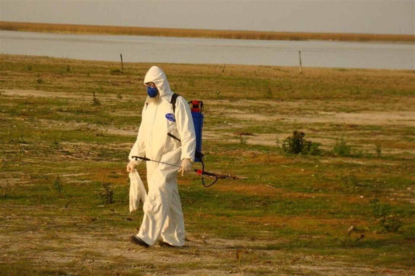 Foco de gripe aviária é confirmado no Rio Grande do Sul