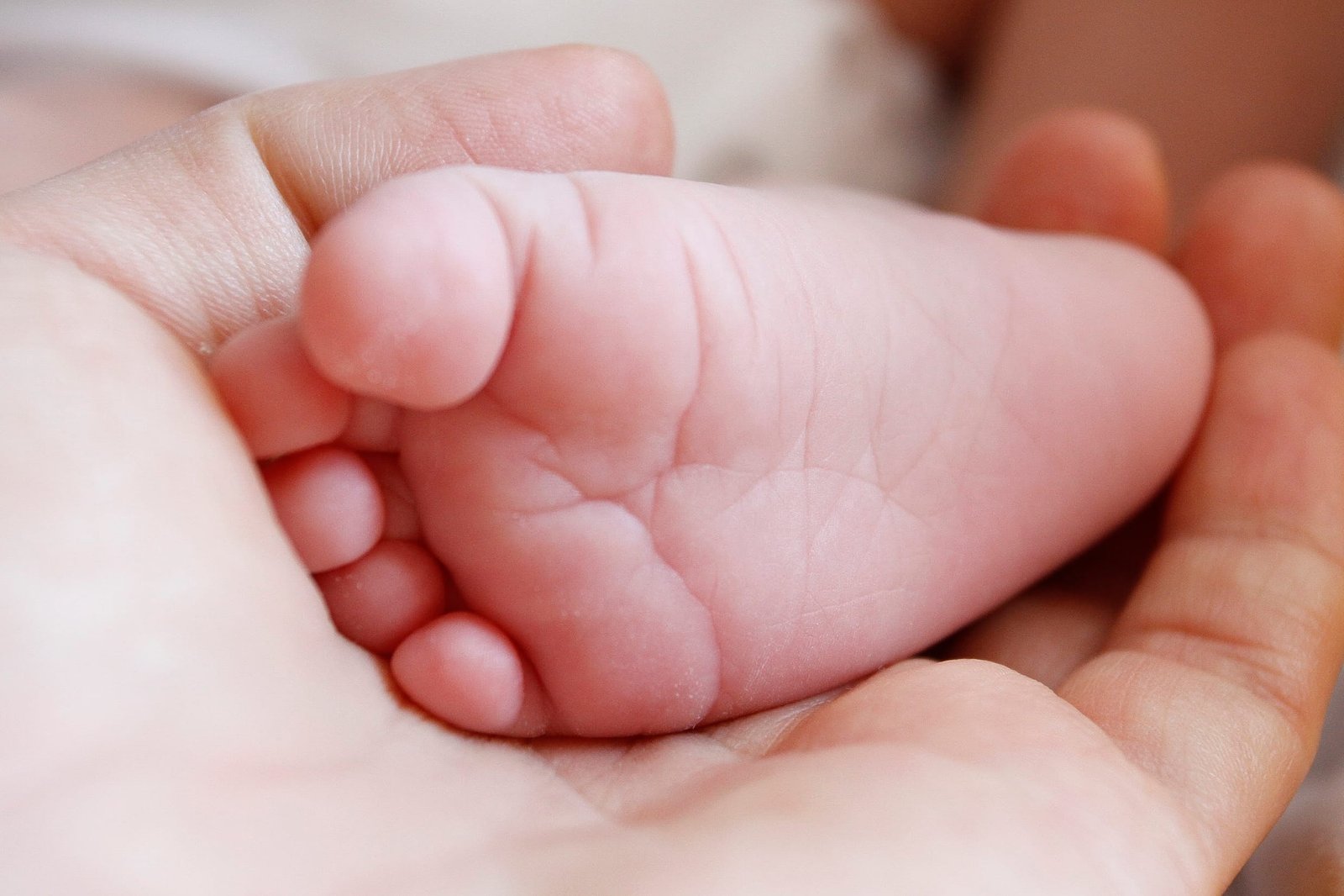 Faculdade oferece consultas gratuitas de pediatria em Porto Alegre