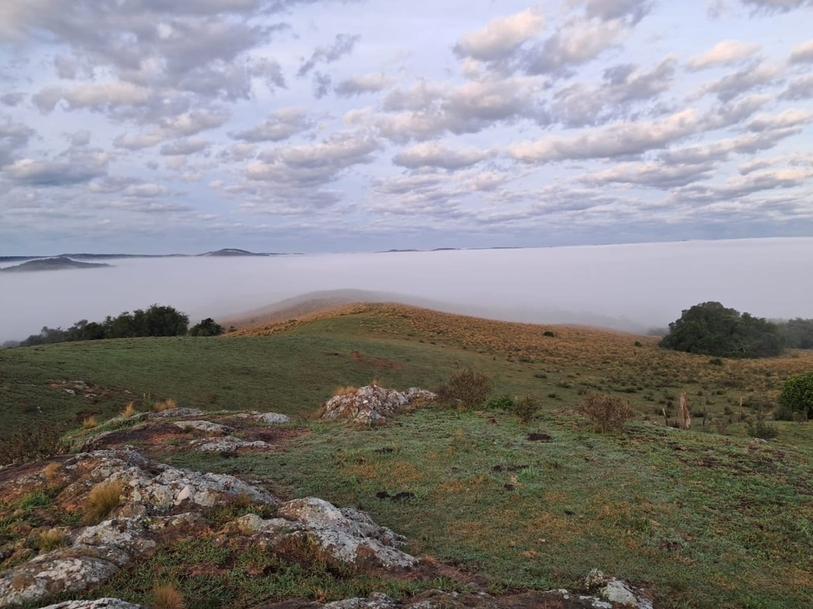 Previsão de geada e pancadas de chuva no RS neste sábado