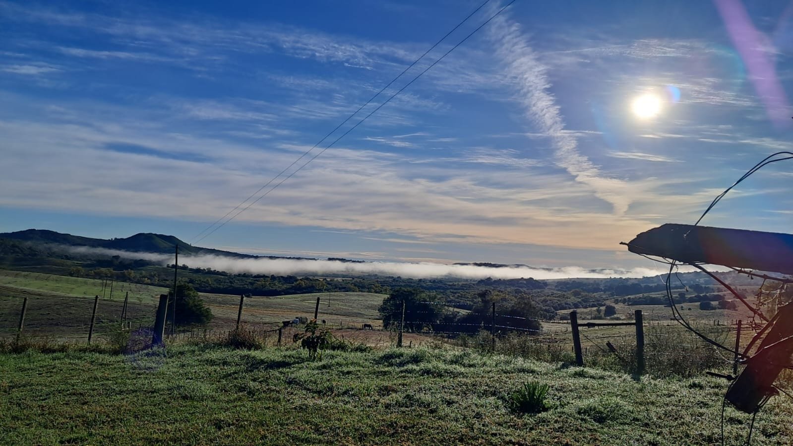 Quinta começa gelada e com previsão de geada em áreas do RS 9 Quinta começa gelada e com previsão de geada em áreas do RS