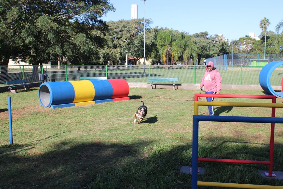 Parque em Porto Alegre ganha cachorródromo 4 Parque em Porto Alegre ganha cachorródromo