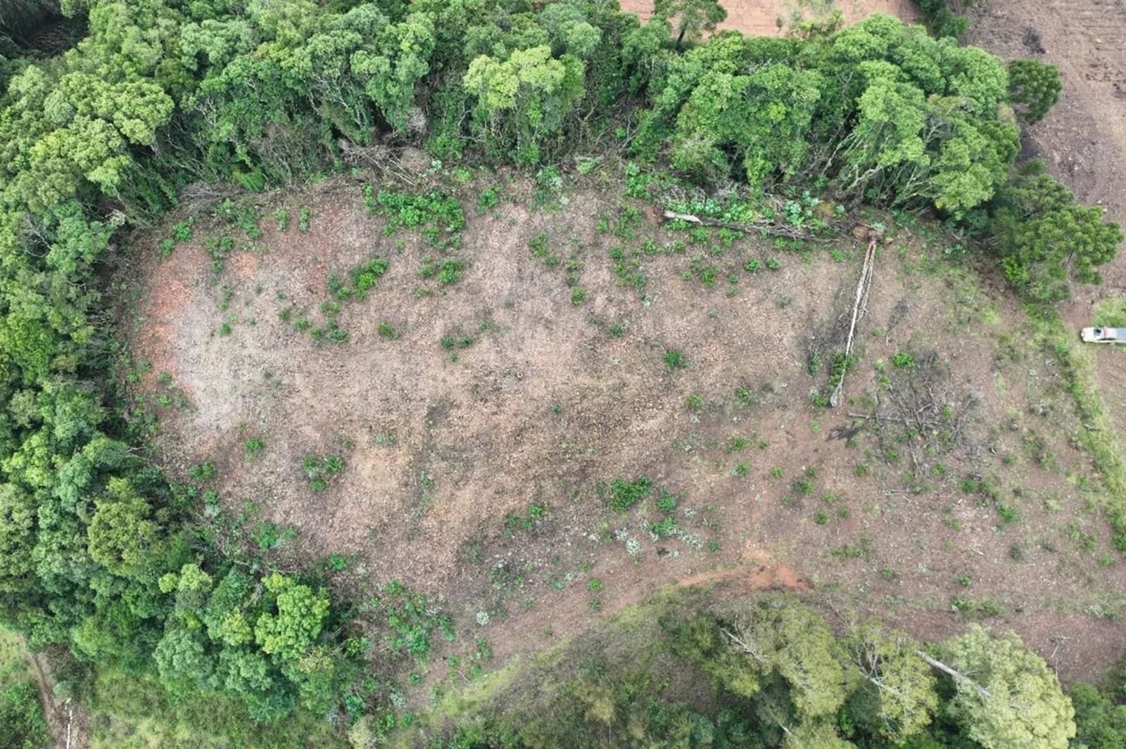 Batalhão Ambiental flagra mais de 66 mil metros quadrados de desmatamento no Norte do RS 8 Batalhão Ambiental flagra mais de 66 mil metros quadrados de desmatamento no Norte do RS