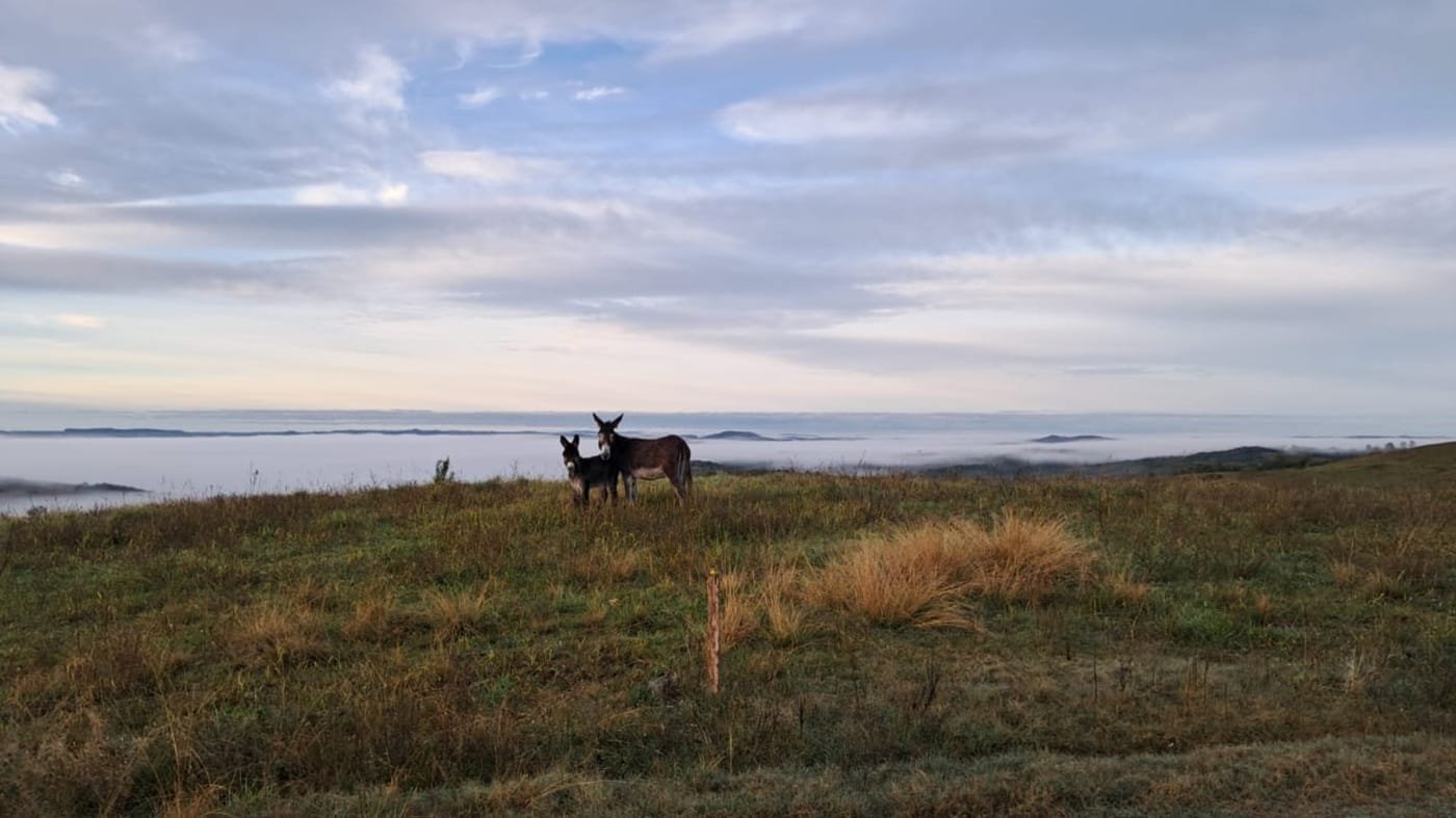 Tempo: Massa de ar frio predomina neste sábado no RS