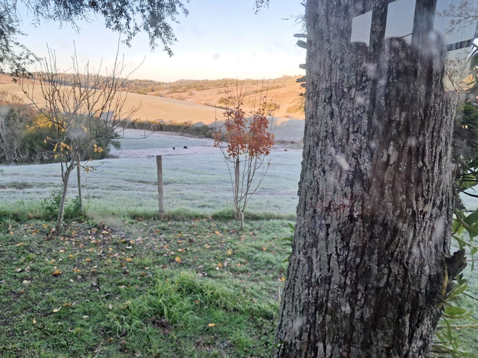 Previsão aponta frio intenso e possibilidade de neve no RS 7 Previsão aponta frio intenso e possibilidade de neve no RS
