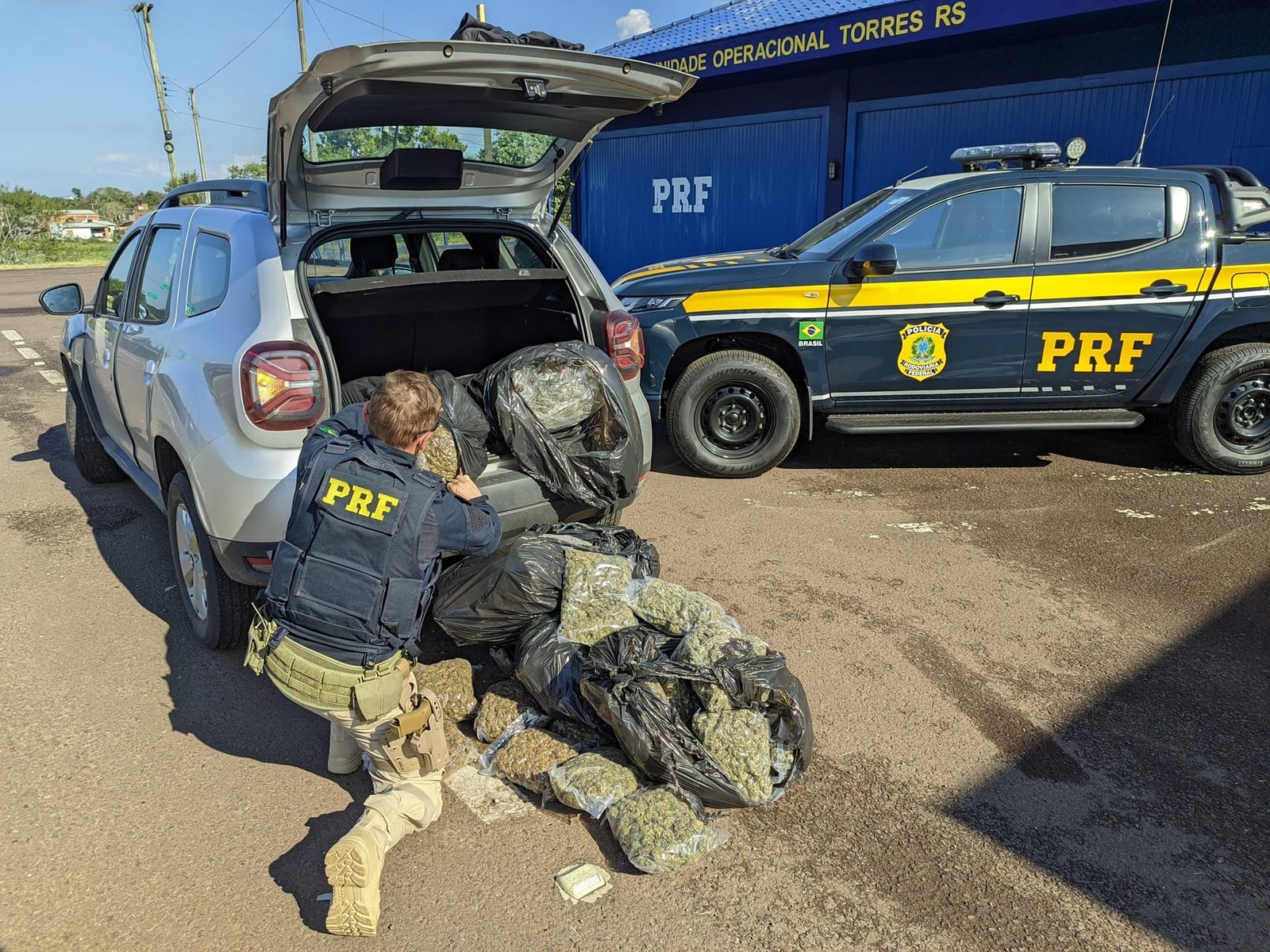 PRF apreende 37 kg de skunk em Torres 9 PRF apreende 37 kg de skunk em Torres
