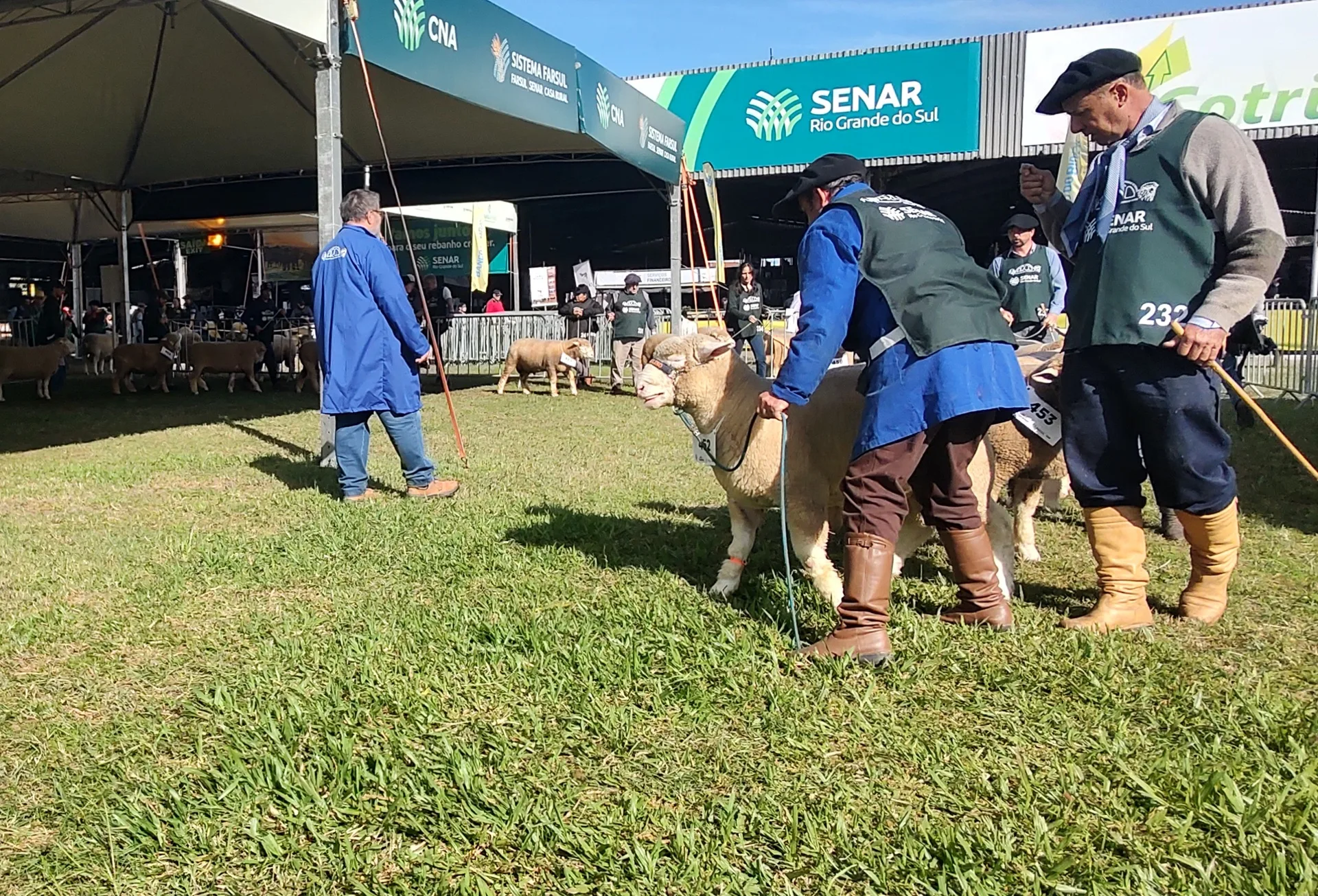 Recorde na Expointer: Feira atinge maior número de animais desde 2012 e traz raça inédita 2 Recorde na Expointer: Feira atinge maior número de animais desde 2012 e traz raça inédita