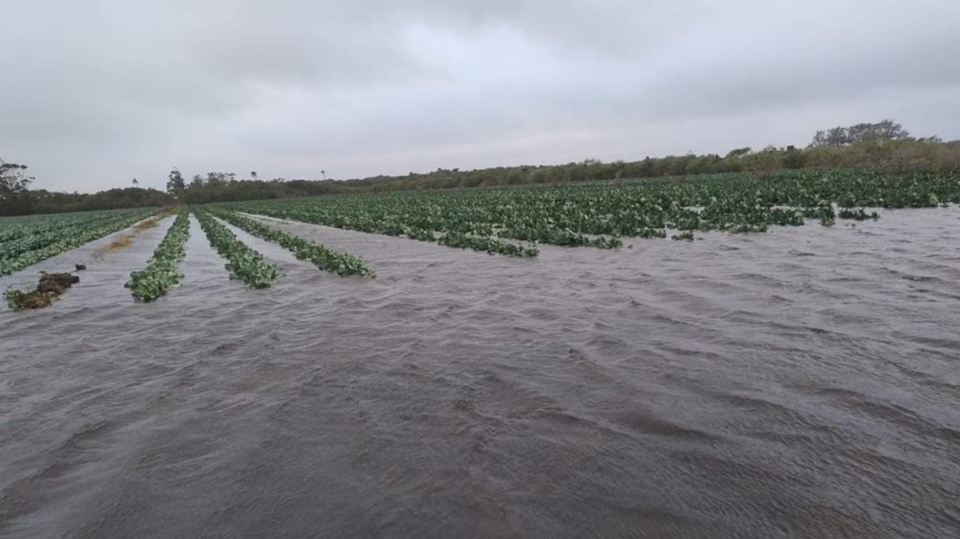 Cheia da Lagoa dos Patos causa prejuízos em Rio Grande