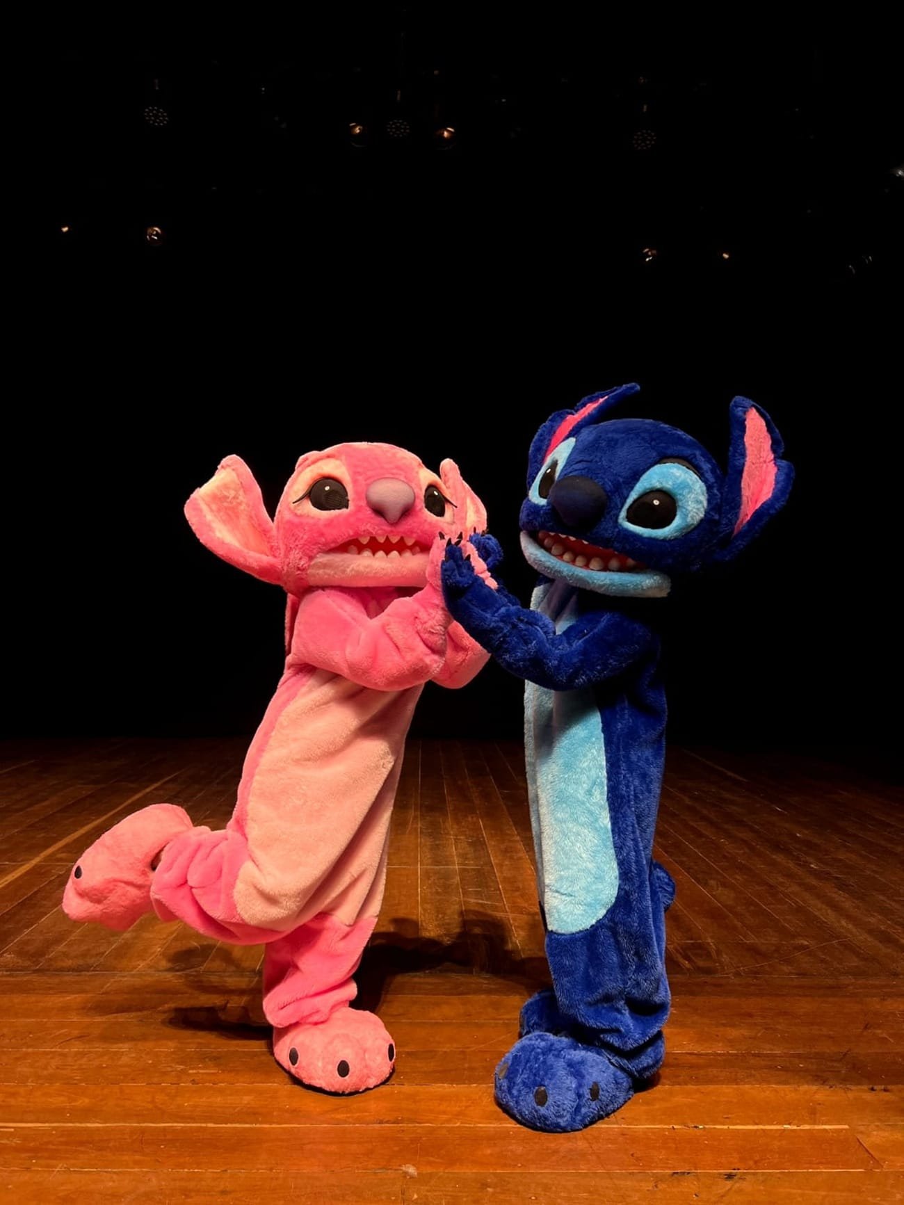 Espetáculo Lilo e Stitch no Teatro chega a Porto Alegre