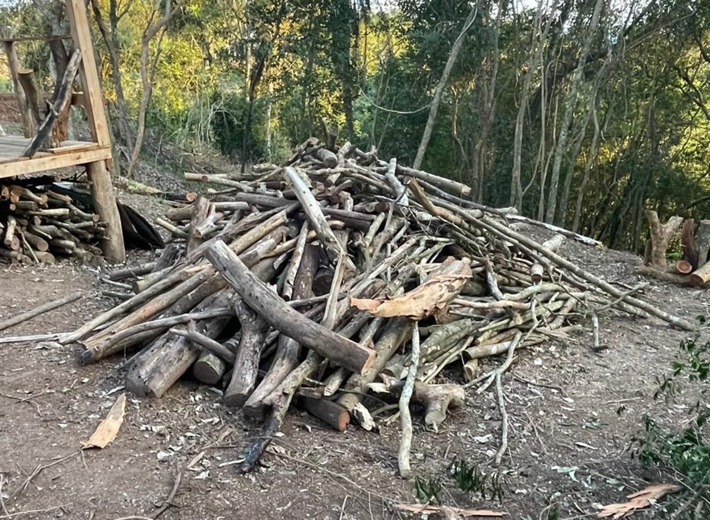 Fiscalização interrompe desmatamento irregular em Novo Hamburgo