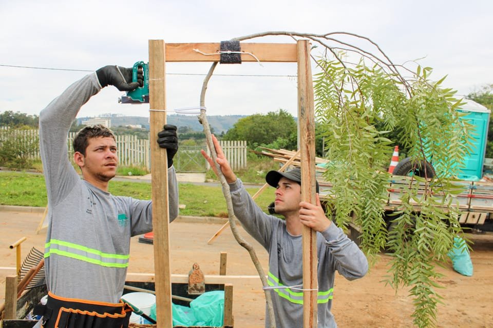 Porto Alegre inicia plantio de 3,5 mil novas árvores