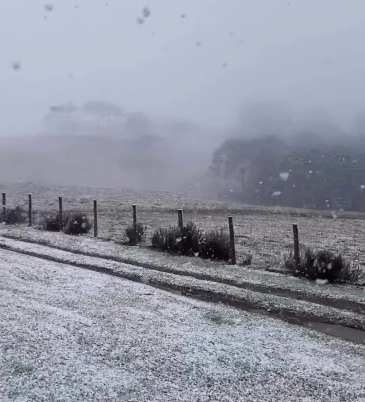 Massa de ar polar provoca sensação térmica de -10ºC e neve no RS 7 Massa de ar polar provoca sensação térmica de -10ºC e neve no RS
