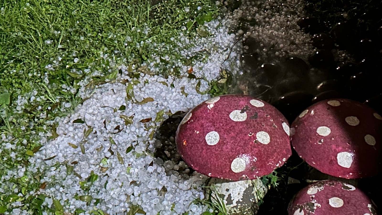 Defesa Civil emite alerta para risco alto de queda de granizo em parte do RS 4 Defesa Civil emite alerta para risco alto de queda de granizo em parte do RS