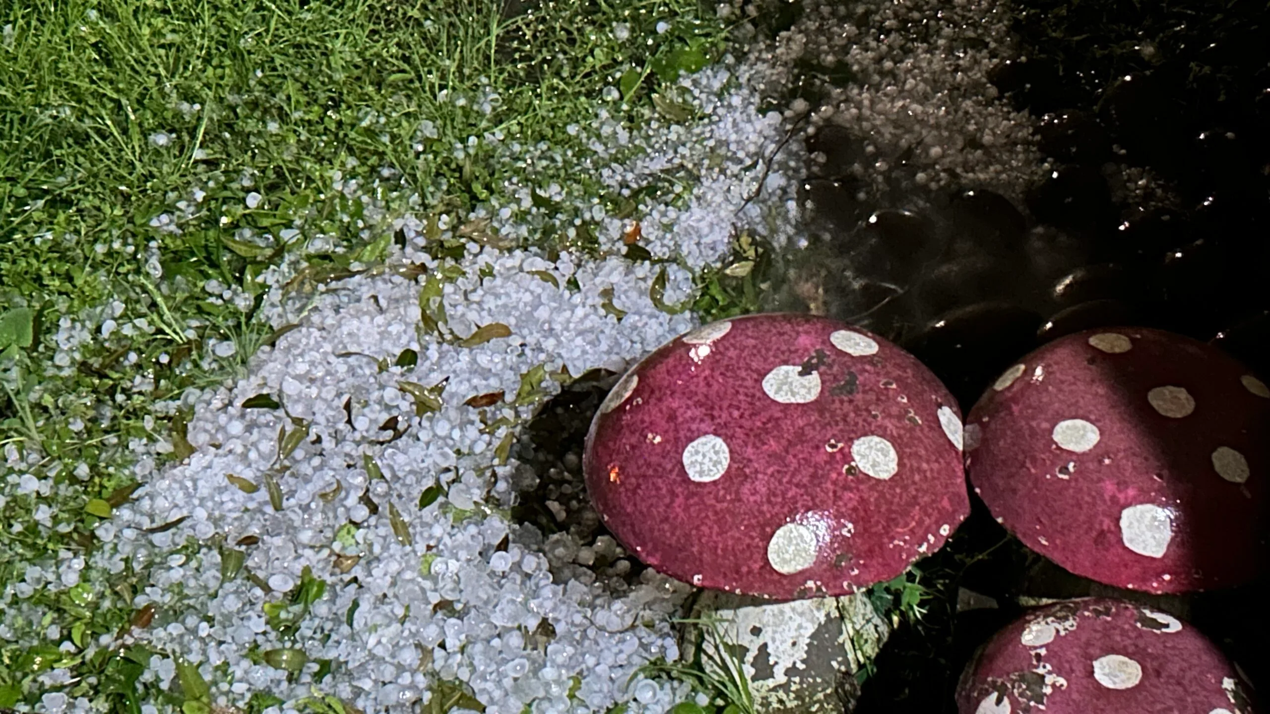 Alerta no RS: Defesa Civil atualiza previsão e confirma temporais com granizo e vento 2 Alerta no RS: Defesa Civil atualiza previsão e confirma temporais com granizo e vento