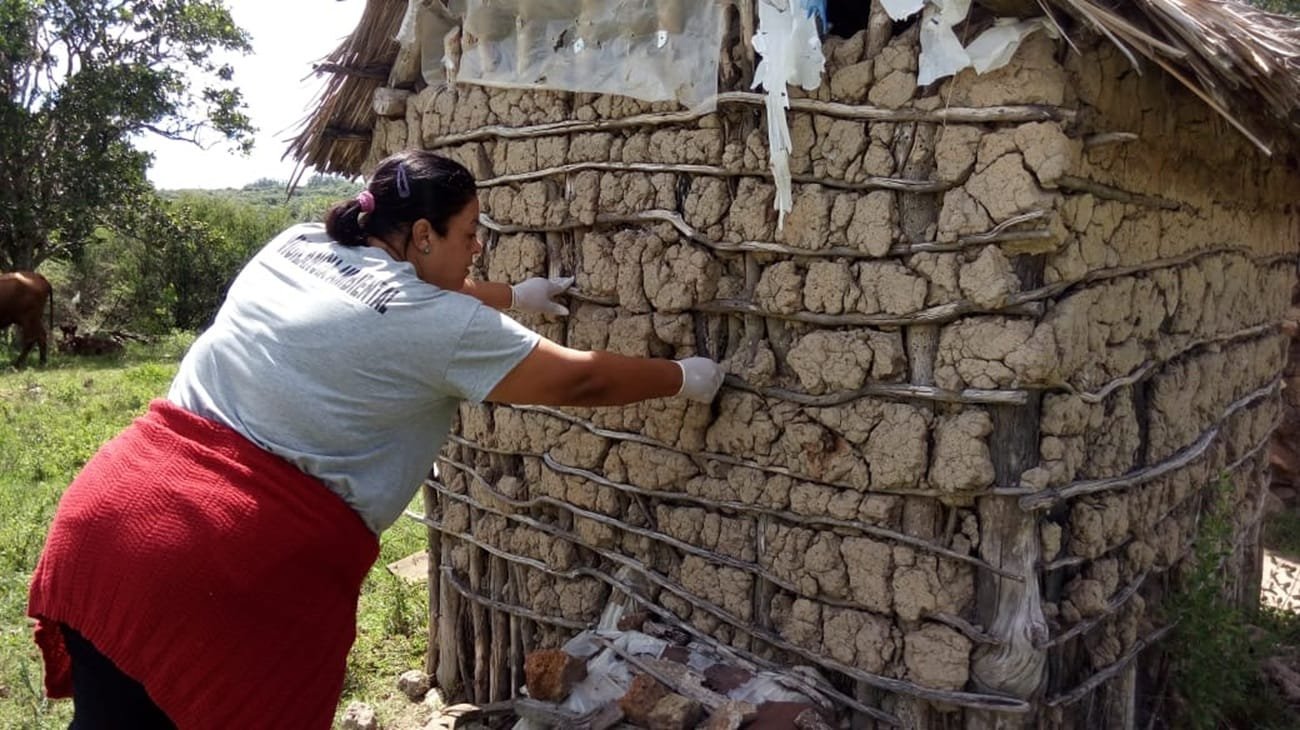 Prefeitura de Bagé retoma serviço de PITs no combate à Doença de Chagas