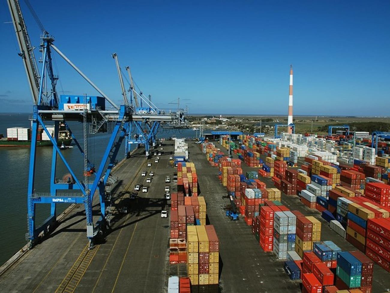 Secretário da Agricultura comemora redução de tarifas dos Estados Unidos sobre produtos brasileiros 10 Secretário da Agricultura comemora redução de tarifas dos Estados Unidos sobre produtos brasileiros