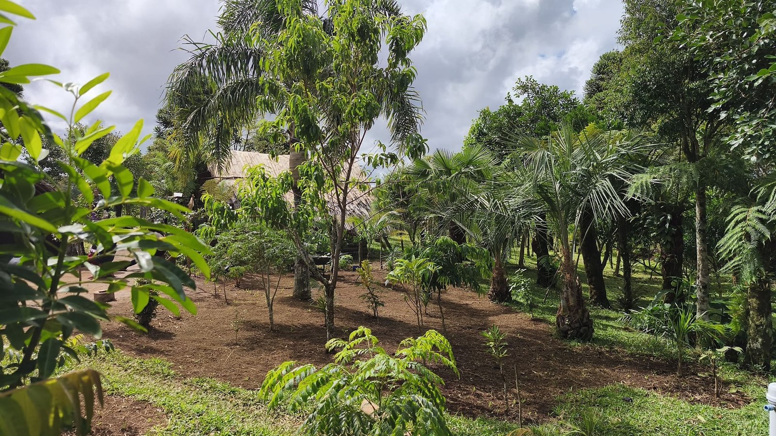 Projeto ambiental no RS avança na ação climática com redução de CO₂