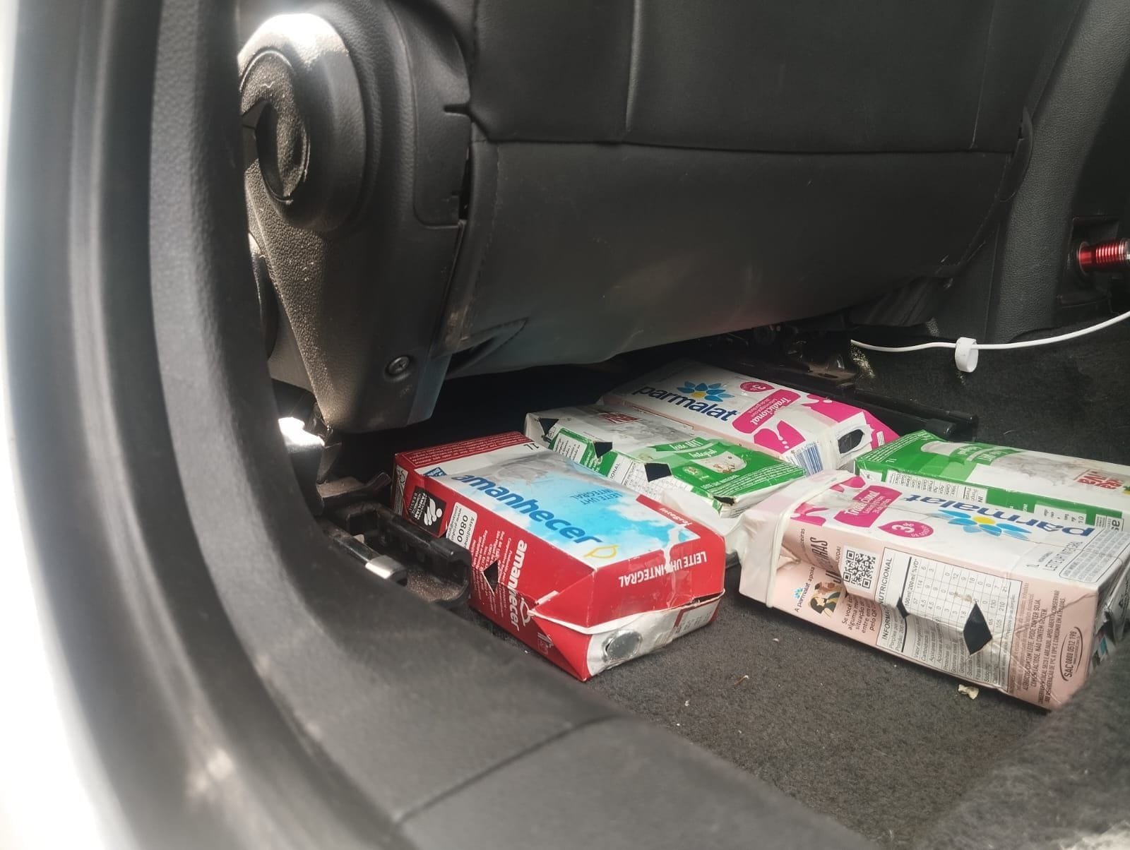 PRF resgata aves silvestres em extinção no Vale do Taquari