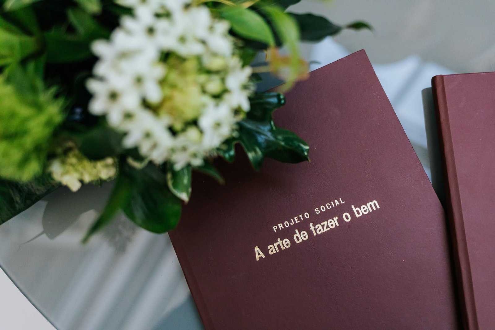 Evento beneficente "No Mundo das Artes" transforma solidariedade em experiência cultural no Vista Pontal 7 Evento beneficente “No Mundo das Artes” transforma solidariedade em experiência cultural no Vista Pontal