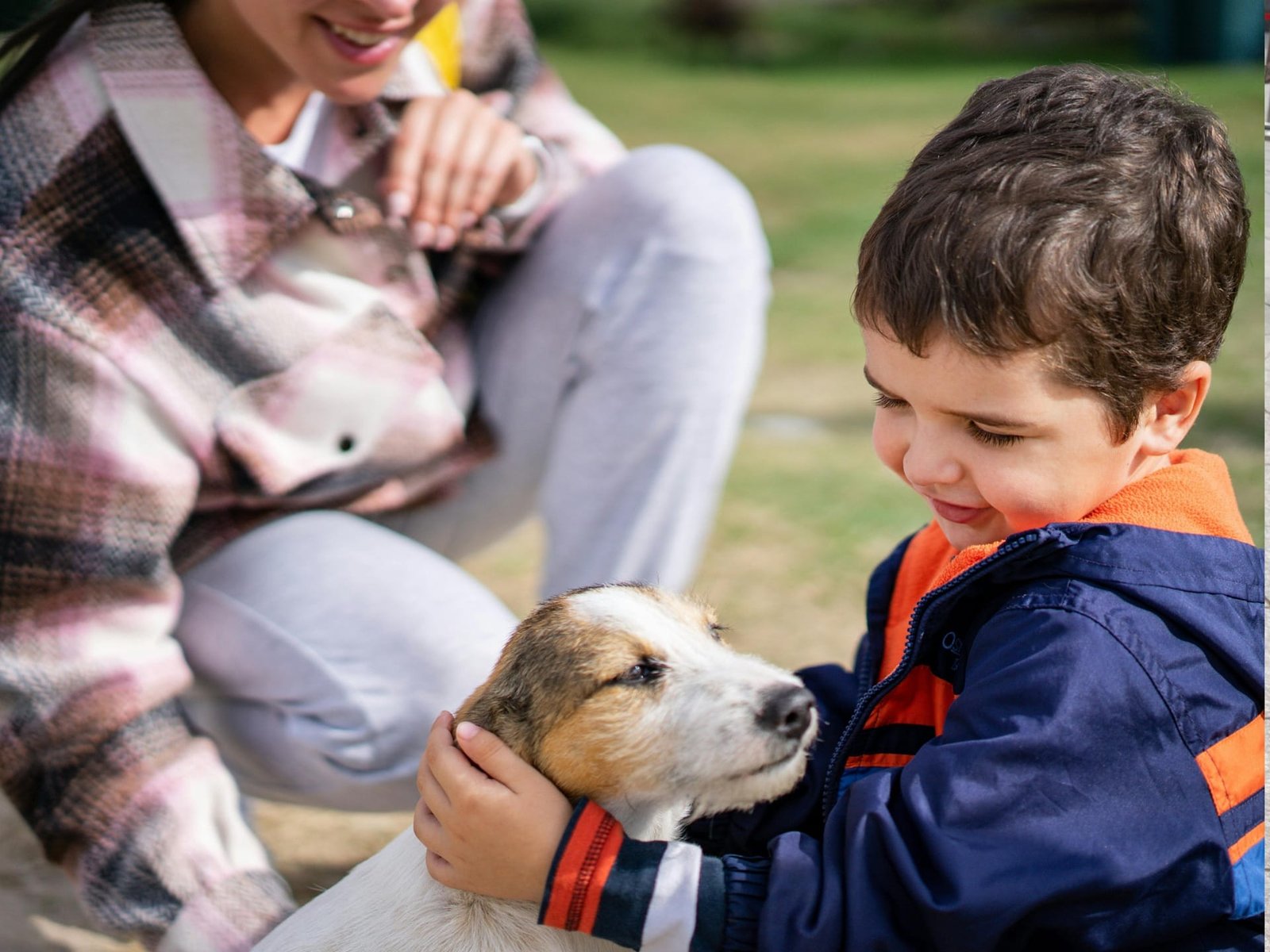Contato com animais de fortalece saúde emocional das crianças, destaca Sociedade de Pediatria do RS