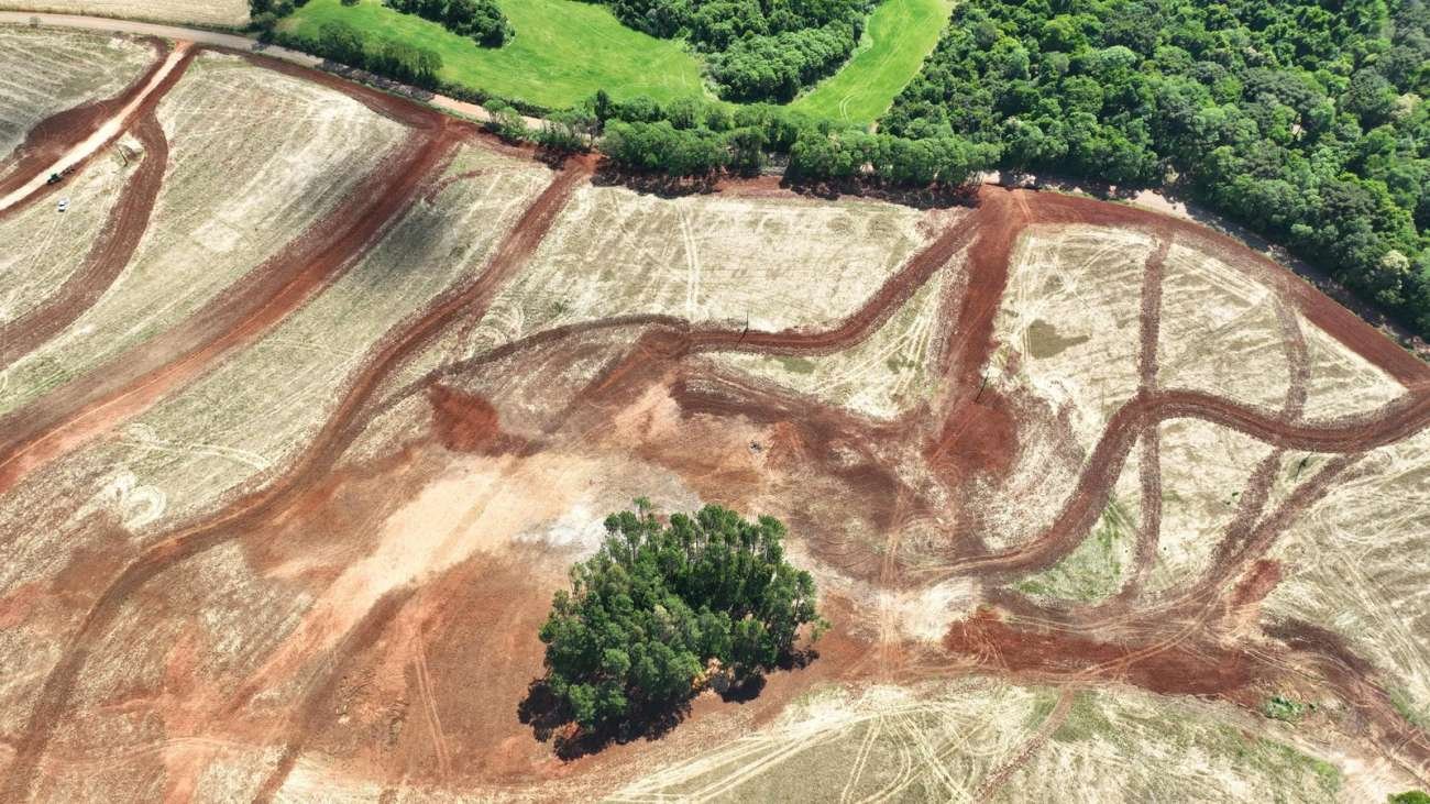 Brigada Militar flagra desmatamento em Passo Fundo 7 Brigada Militar flagra desmatamento em Passo Fundo