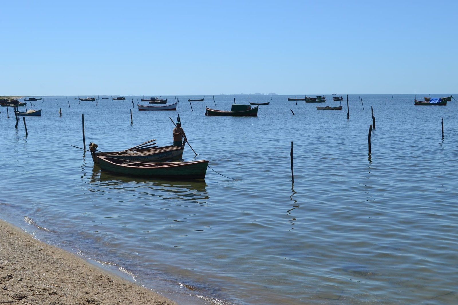Justiça mantém proibição de pesca de bagres na Lagoa dos Patos 4 Justiça mantém proibição de pesca de bagres na Lagoa dos Patos