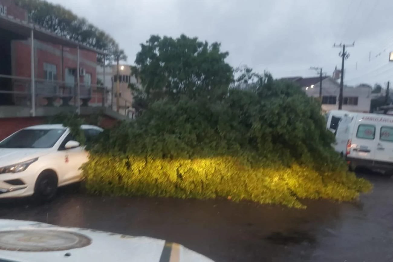 Temporal causou estragos em mais de 30 cidades do RS 2 Temporal causou estragos em mais de 30 cidades do RS