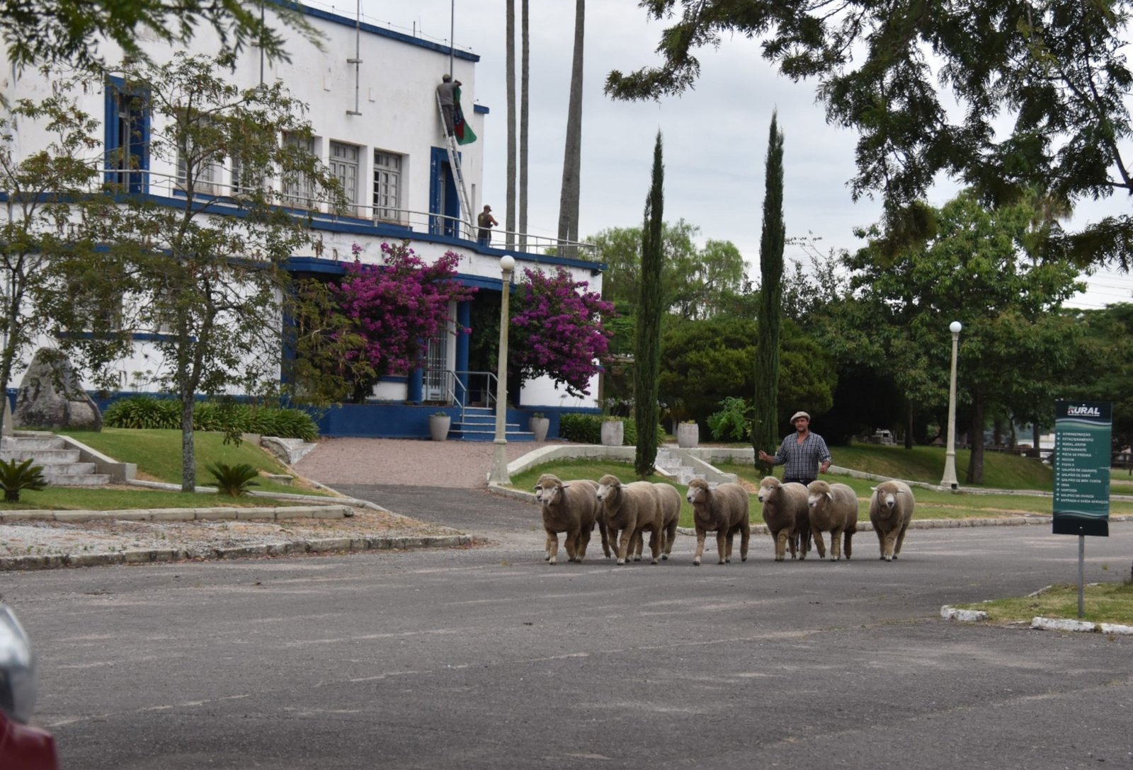 Agrovino chega à 18ª edição com expectativa de ampliar negócios e público em Bagé