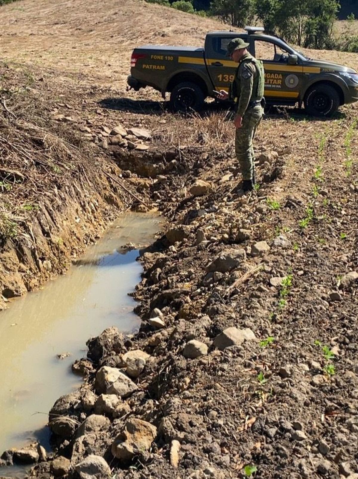 Brigada Militar flagra desmatamentos em cidades da Região Norte do RS 7 Brigada Militar flagra desmatamentos em cidades da Região Norte do RS