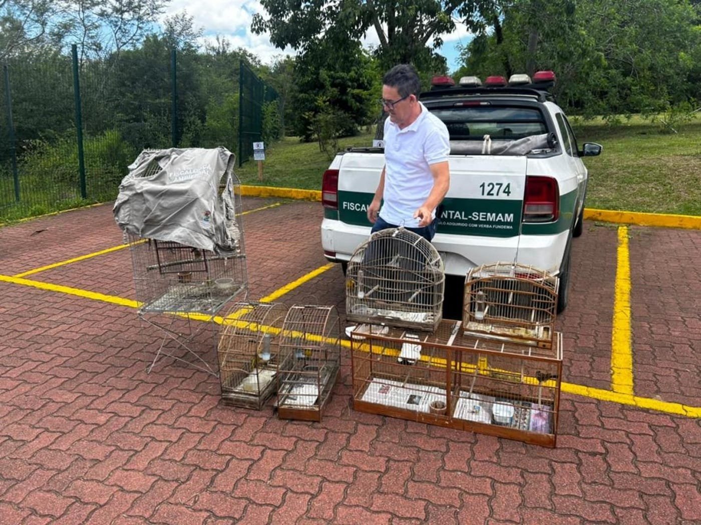 Pássaros silvestres são regatados em Novo Hamburgo 5 Pássaros silvestres são regatados em Novo Hamburgo