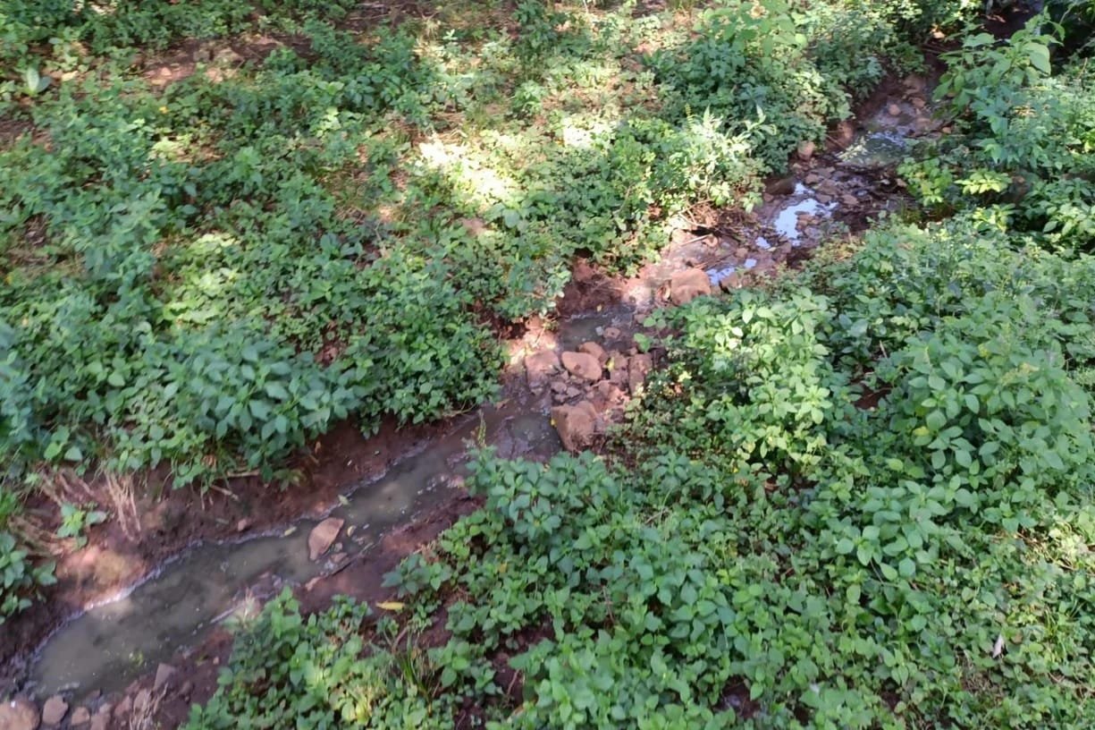Polícia Ambiental flagra poluição hídrica na Região Norte do RS