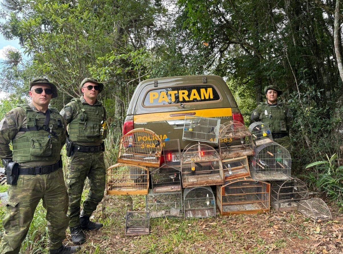Operação resgata pássaros silvestres mantidos em cativeiro ilegal na Região Noroeste do RS