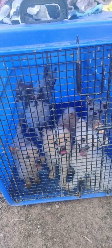 WhatsApp Image 2026 02 06 at 16 57 49