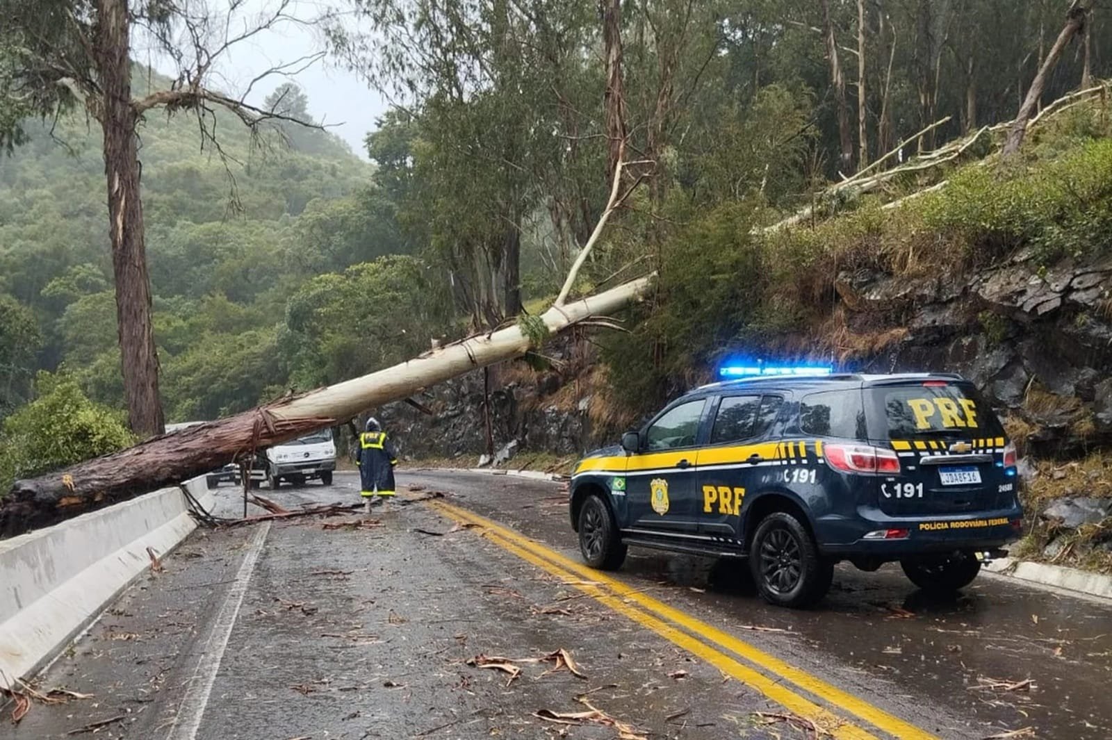 Queda de árvore provoca bloqueio de trânsito na BR-116, na Serra Gaúcha