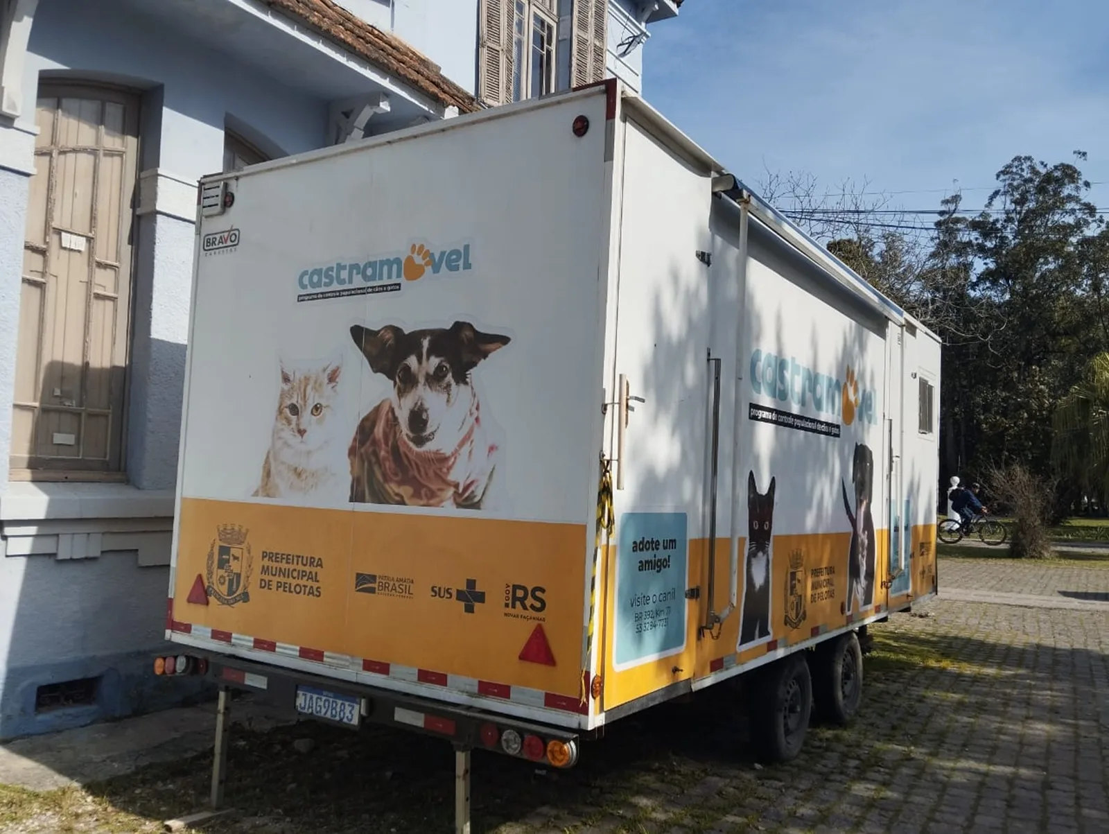 Prefeitura de Pelotas abre inscrições para castrações de cães e de gatos 4 Prefeitura de Pelotas abre inscrições para castrações de cães e de gatos