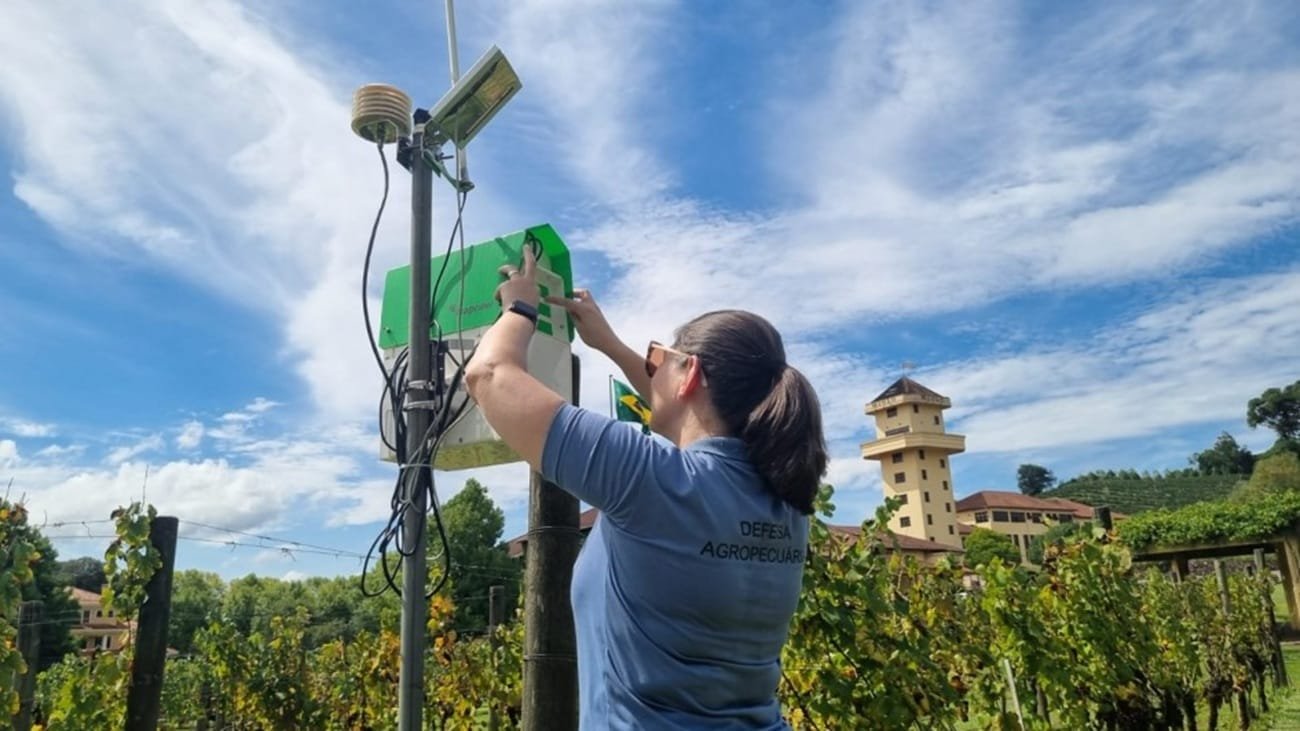 Secretaria da Agricultura testa equipamento de inteligência artificial para monitoramento de insetos 1 equipamento