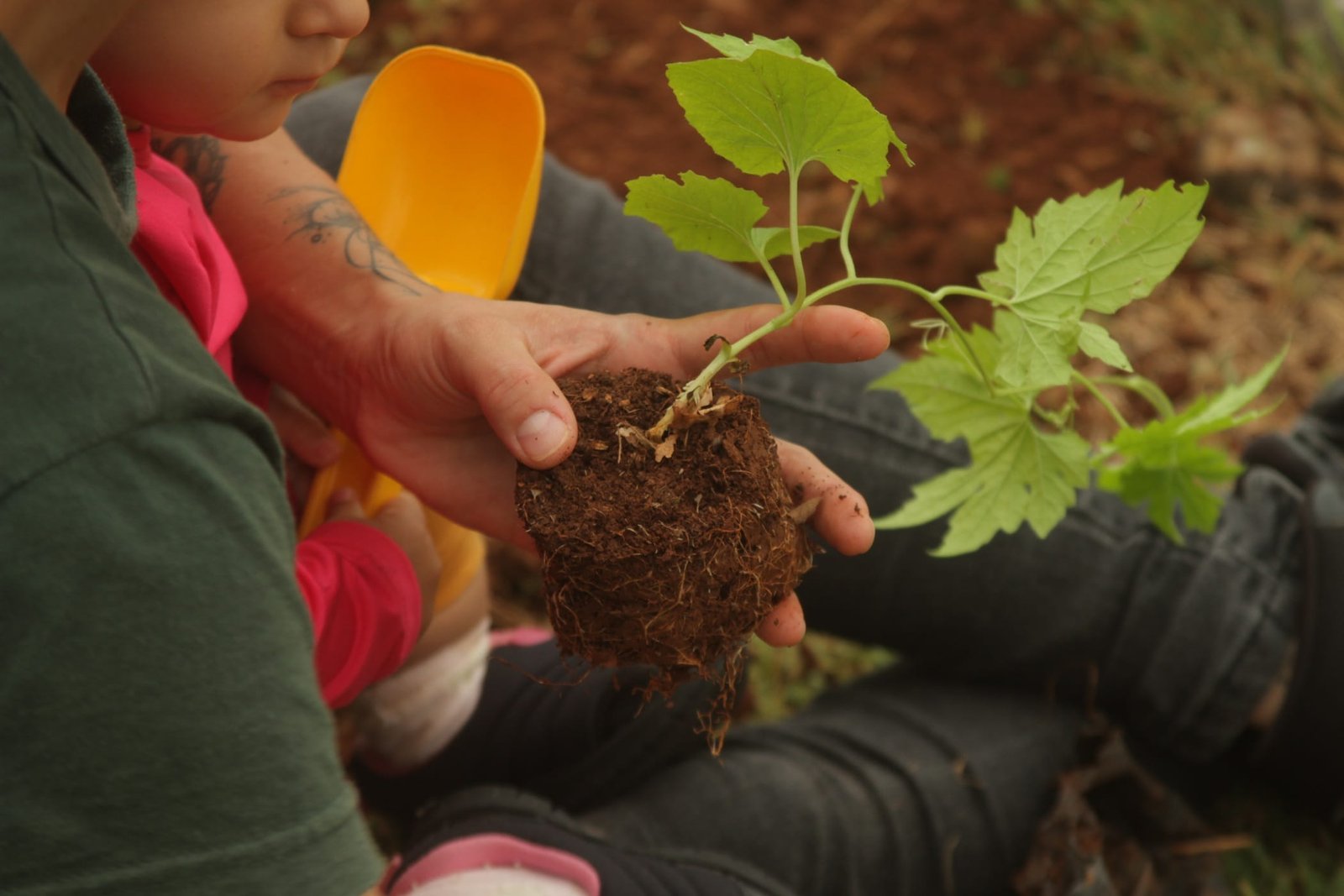 Museu cria espaço de sustentabilidade com programação aberta à comunidade 2 Museu cria espaço de sustentabilidade com programação aberta à comunidade