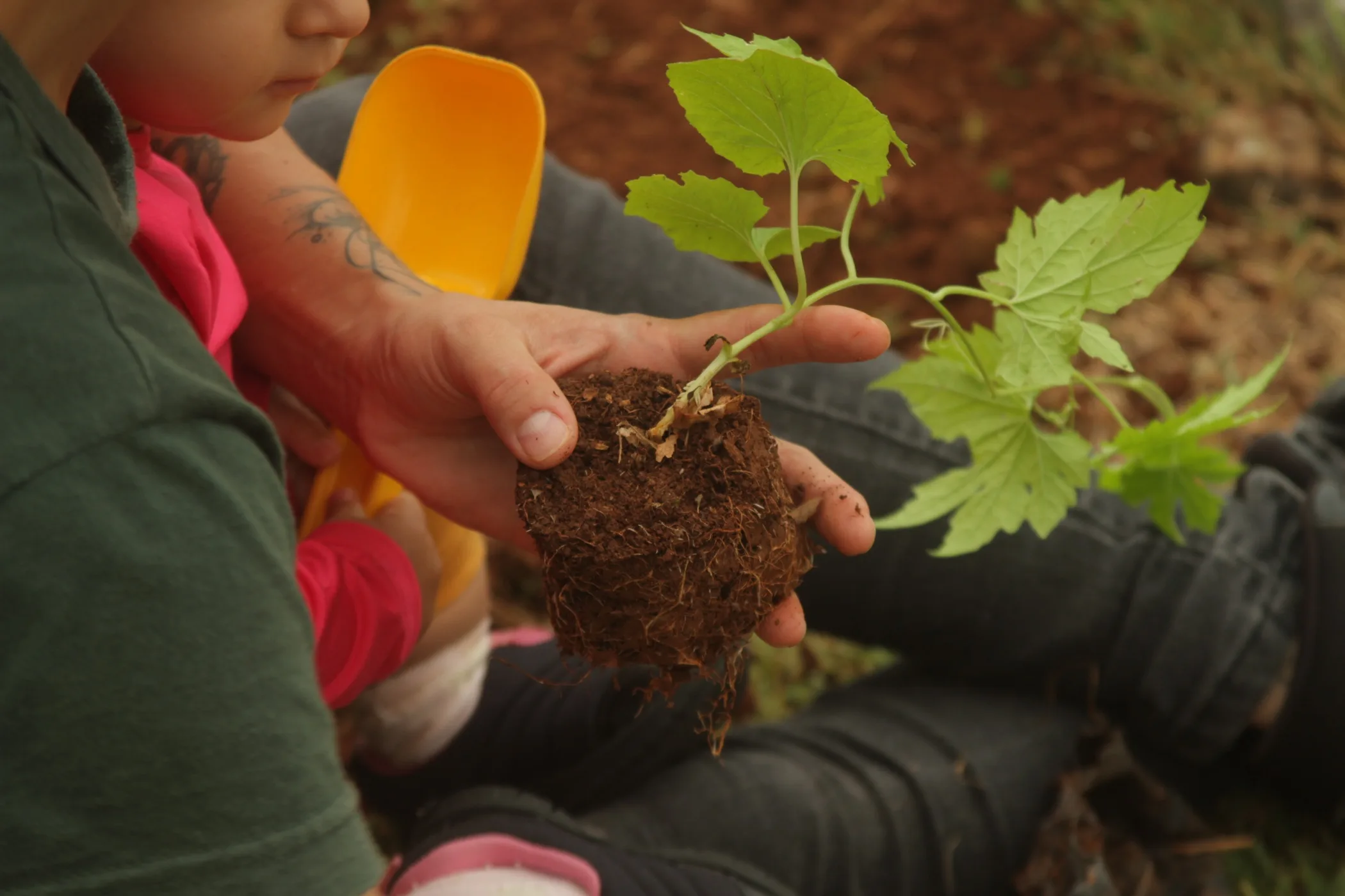 Museu cria espaço de sustentabilidade com programação aberta à comunidade