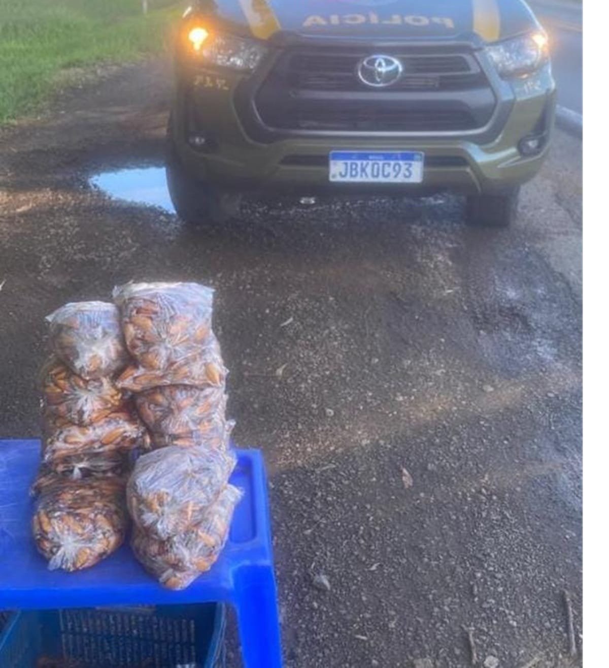 Brigada Militar apreende pinhão na Região Norte do RS